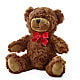 Adorable Plush Bear –  The Enchanted Florist And More Llc, Vincennes IN