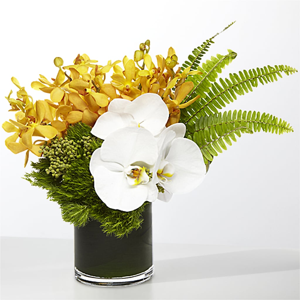 The Tropics –  The Enchanted Florist And More Llc, Vincennes IN