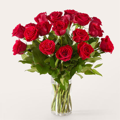 The One Red Rose Bouquet –  The Enchanted Florist And More Llc, Vincennes IN