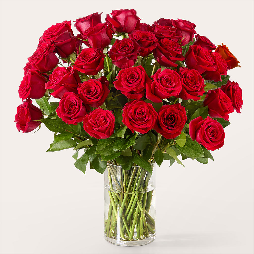 The One Red Rose Bouquet –  The Enchanted Florist And More Llc, Vincennes IN