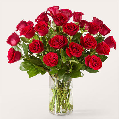 The One Red Rose Bouquet –  The Enchanted Florist And More Llc, Vincennes IN