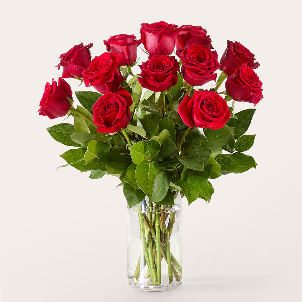 The One Red Rose Bouquet –  The Enchanted Florist And More Llc, Vincennes IN
